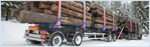 Truck transport, автомобильные freight transportation, ფრახტი для автоперевозки, passing trucks для перевозки грузов, доставка груза.