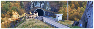 Truck transport, автомобильные freight transportation, ფრახტი для автоперевозки, passing trucks для перевозки грузов, доставка груза.